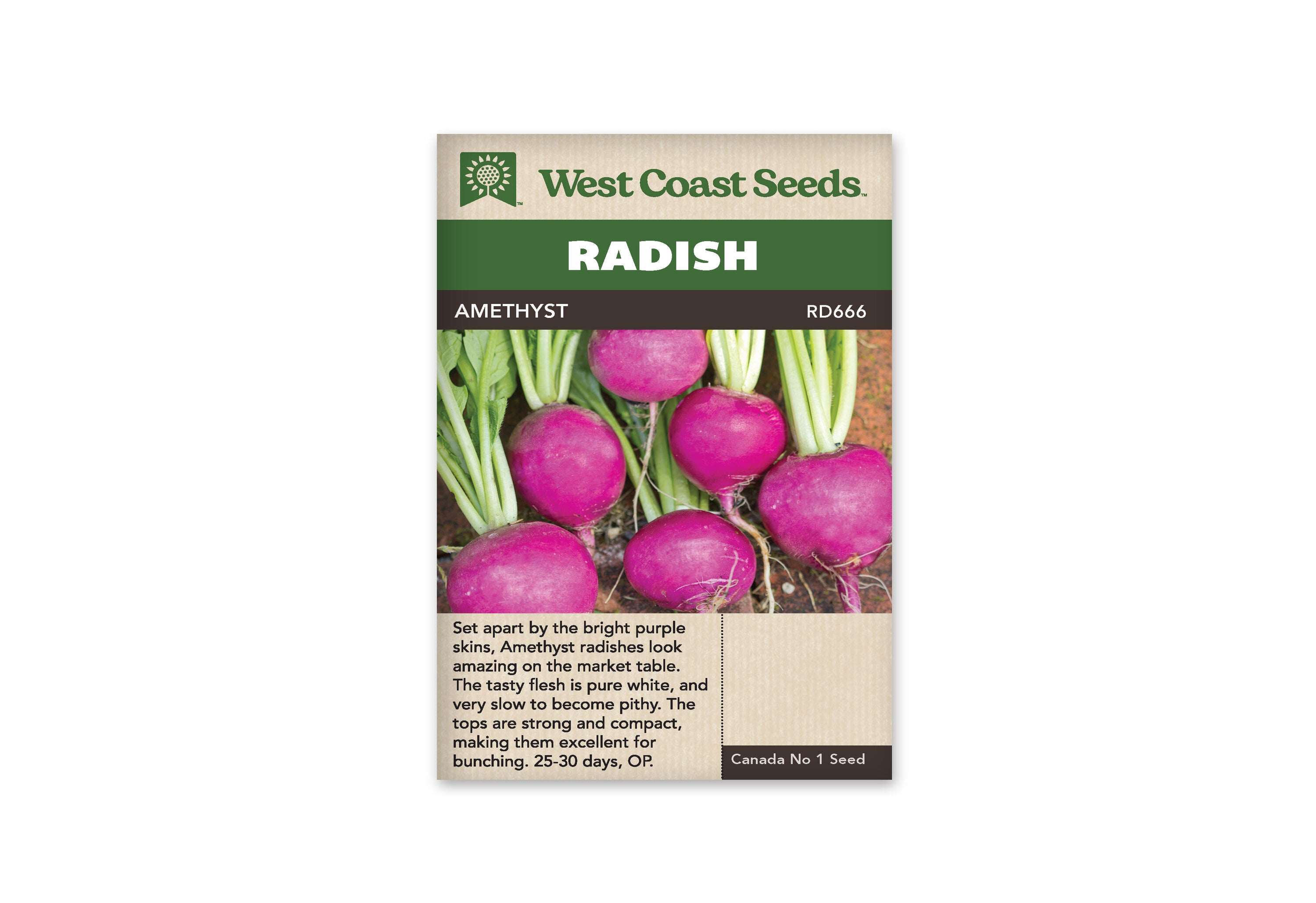Product Image:Amethyst Radish Seeds