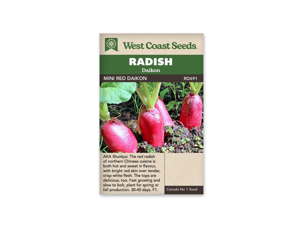 Mini Red Daikon Radish Seeds from West Coast Seeds at Canada Grow Supplies
