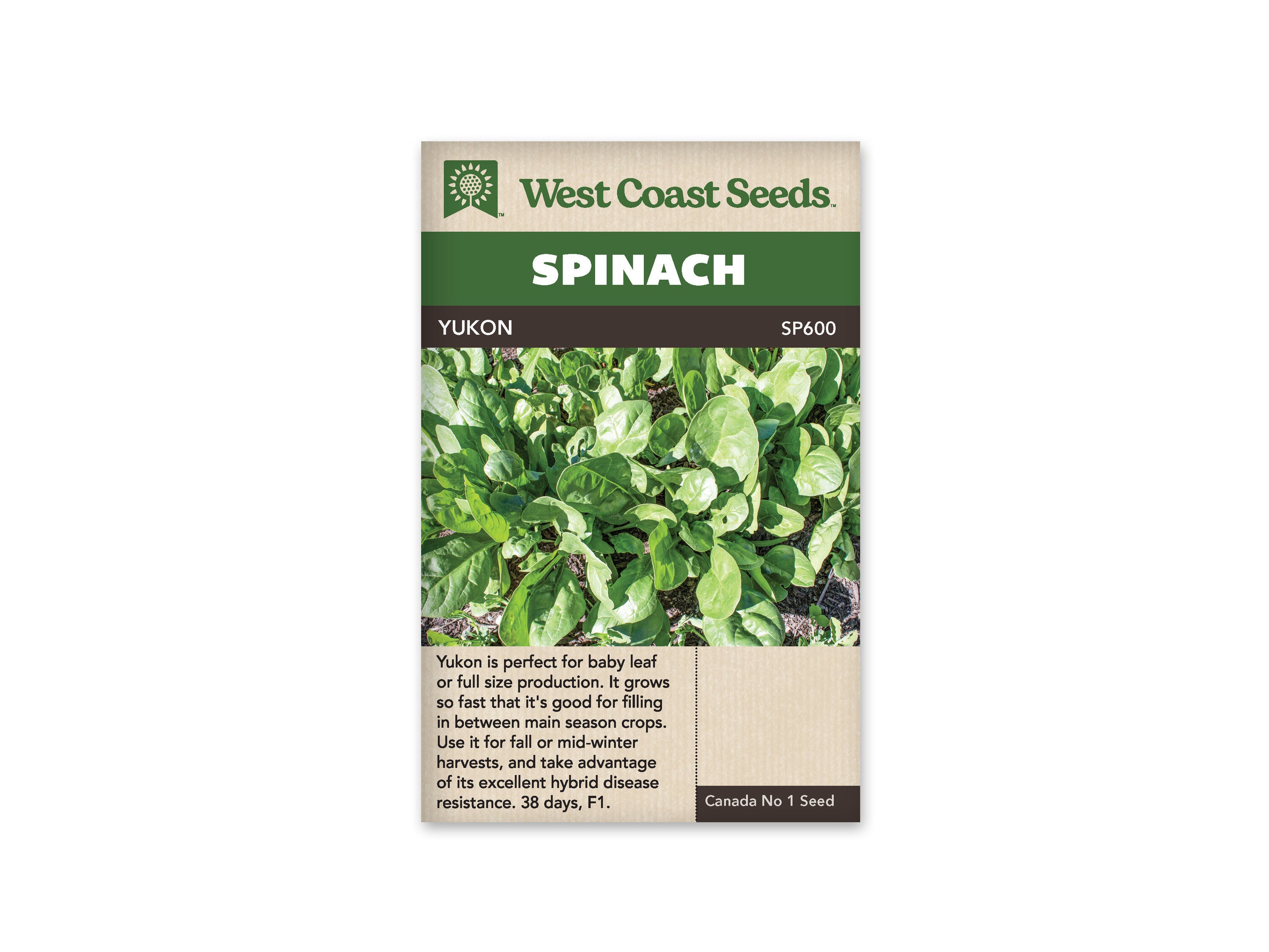 Product Image:Yukon Spinach Seeds