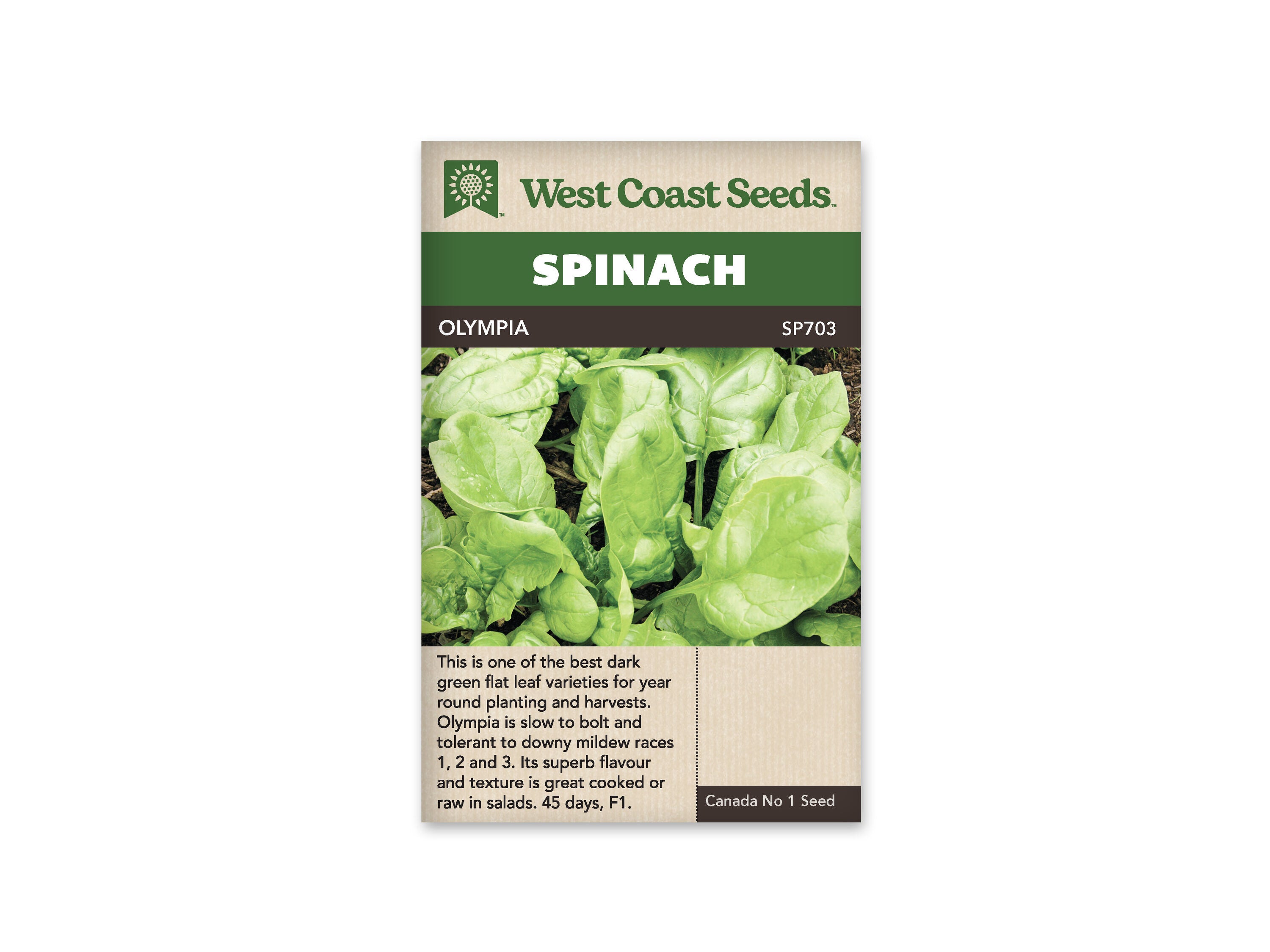 Product Image:Olympia Spinach Seeds