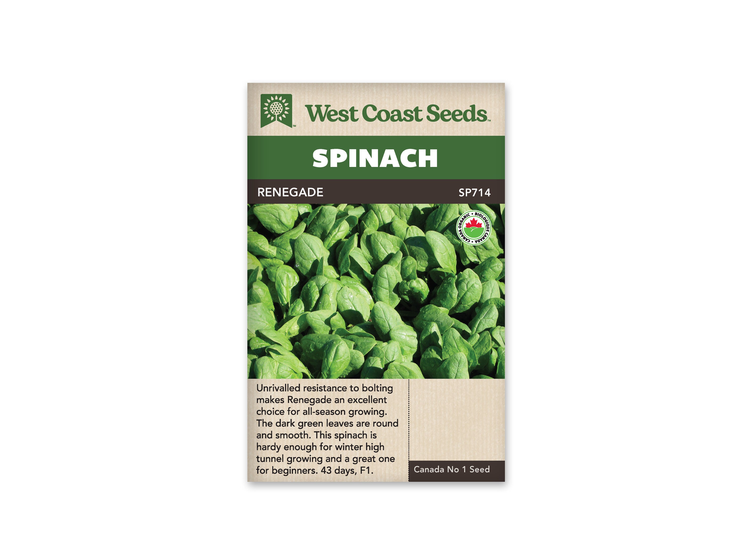Product Image:Renegade Organic Spinach Seeds