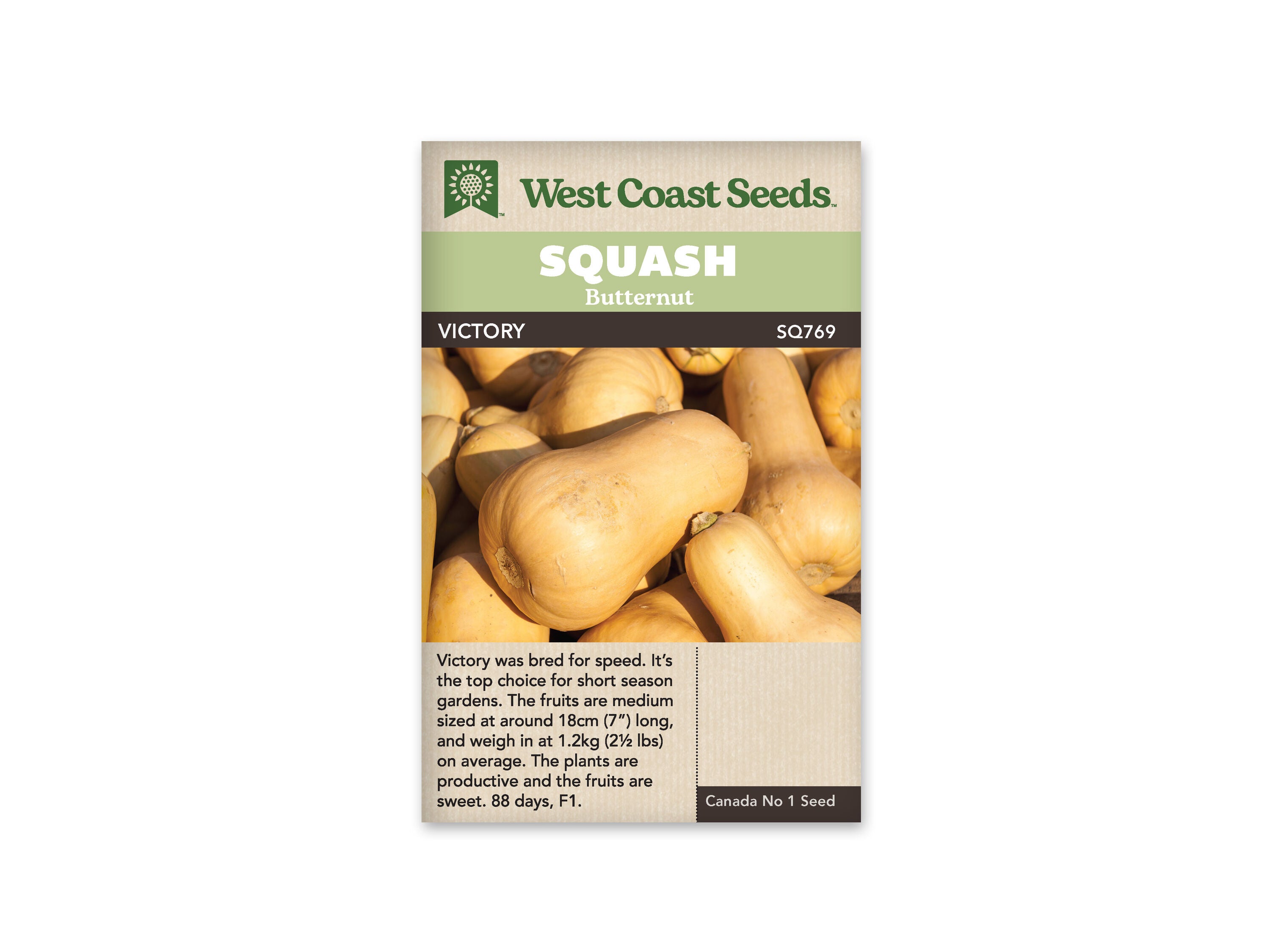 Product Image:Victory Early Butternut Squash Seeds