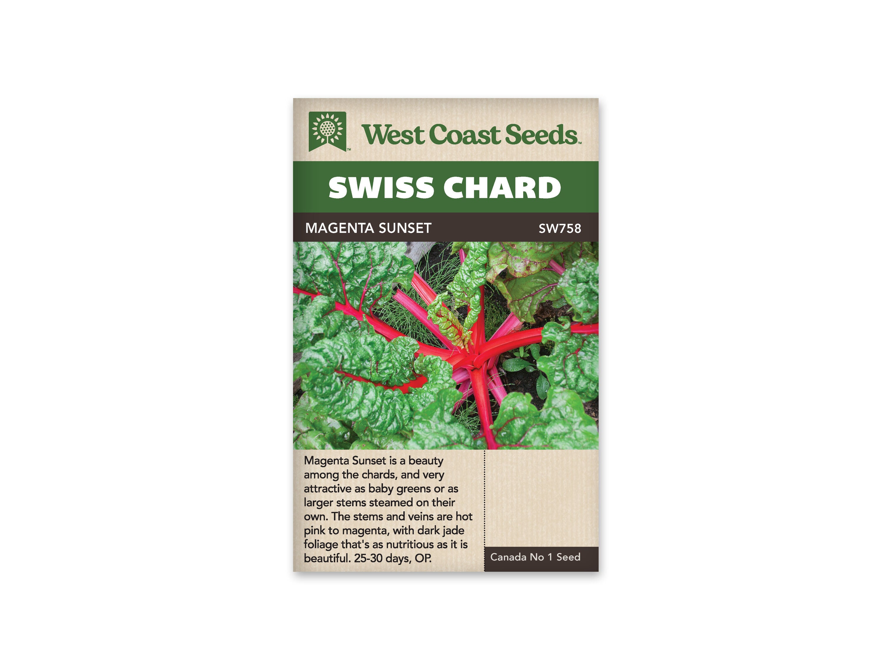 Product Image:Magenta Sunset Swiss Chard Seeds