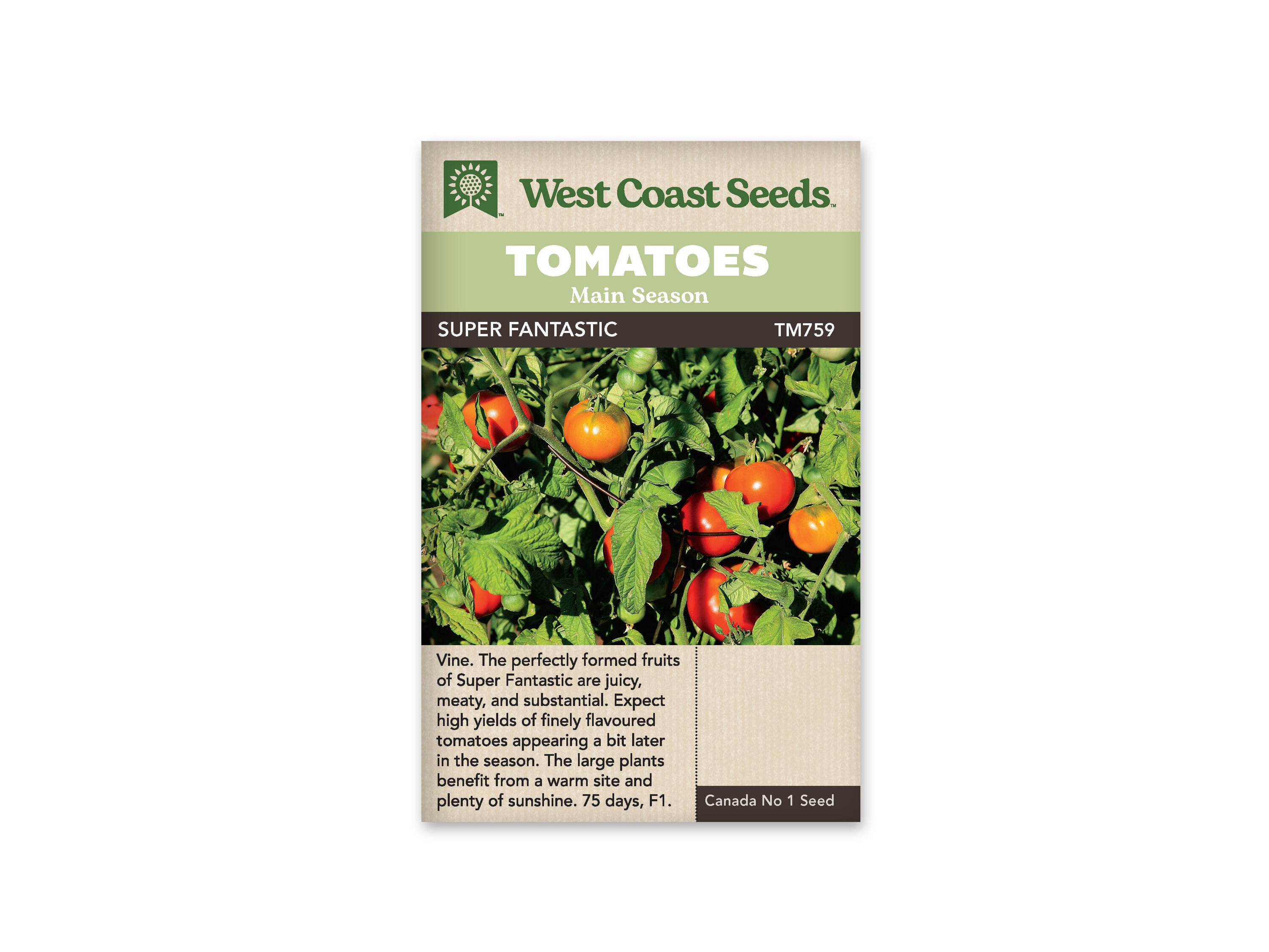 Product Image:Super Fantastic Tomato Seeds
