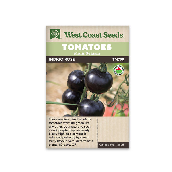 Indigo Rose Organic Tomato Seeds from West Coast Seeds at Canada Grow  Supplies