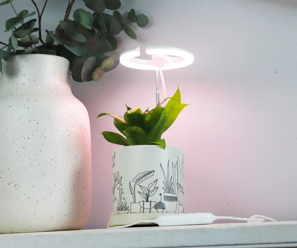 SUNBLASTER HALO 360 LED GROW LIGHT