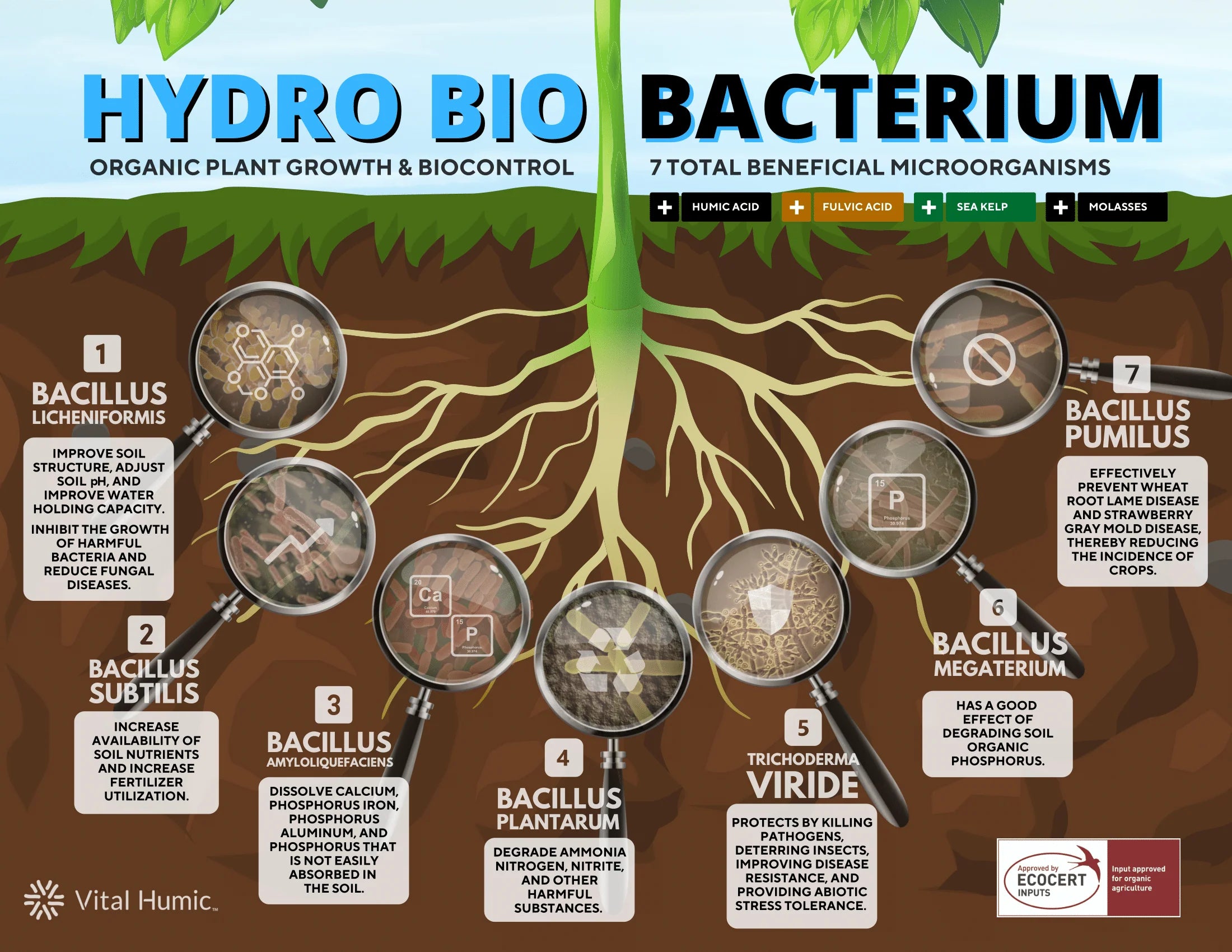 Vital Humic ™ Hydro Bio - Microbial Biostimulants