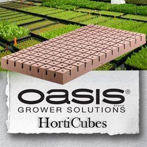 Product Image:Oasis Horticube 1 1/4