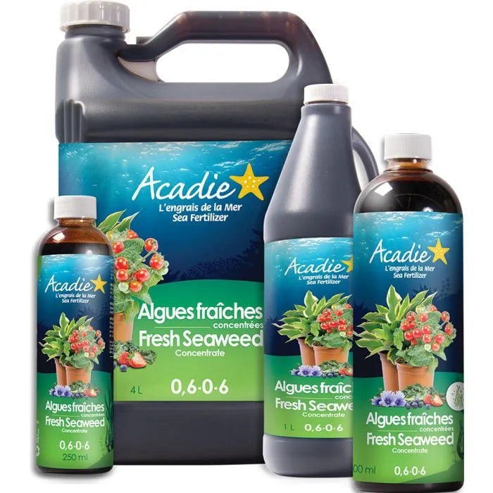 Product Image:ACADIE Fresh seaweed concentrate 0.6-0-6