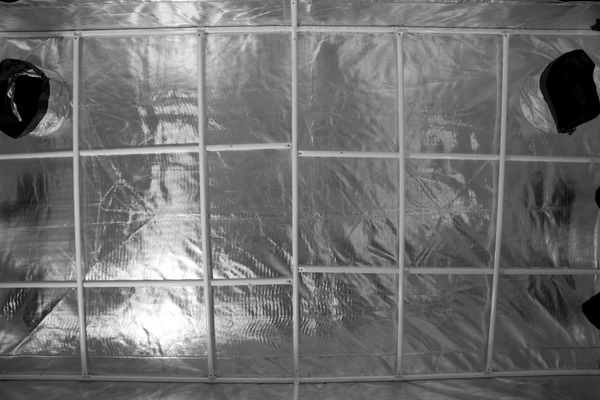 gorilla grow tent 5x9 Gorilla 5' x 9' x 6'11" Grow Tent w/ Ext 7'11"