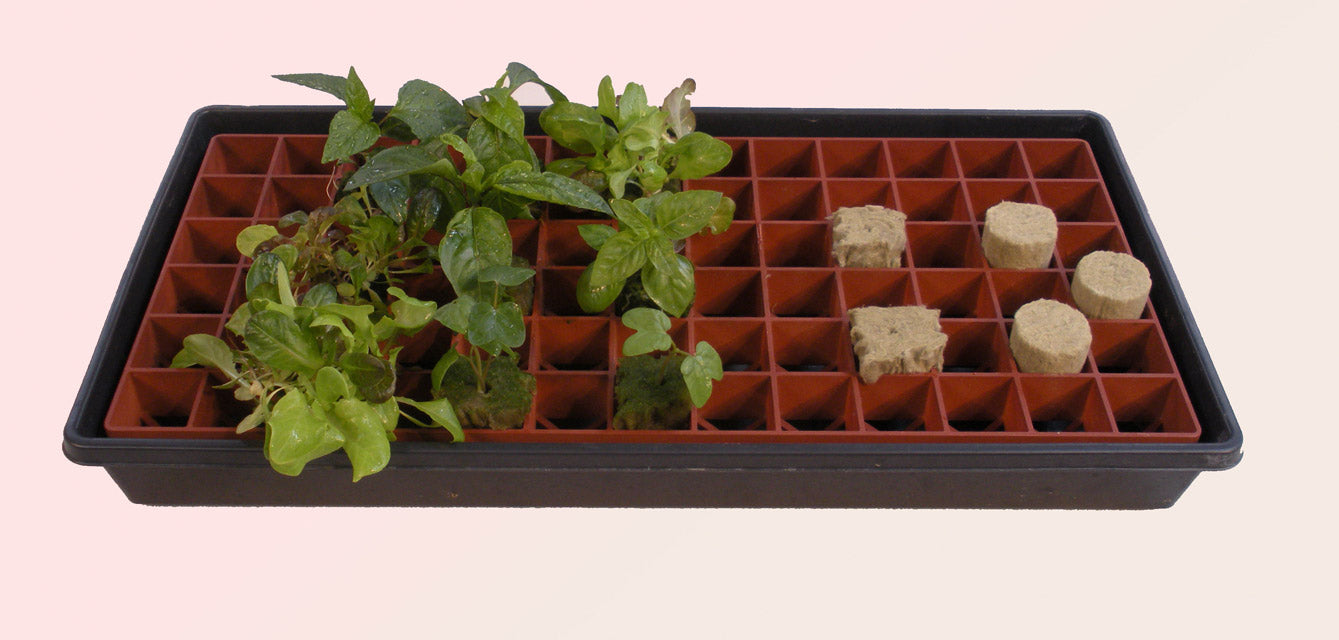 Product Secondary Image:Grodan Gro-Smart Trays-78 Cells (1 CAR = 5 Trays)