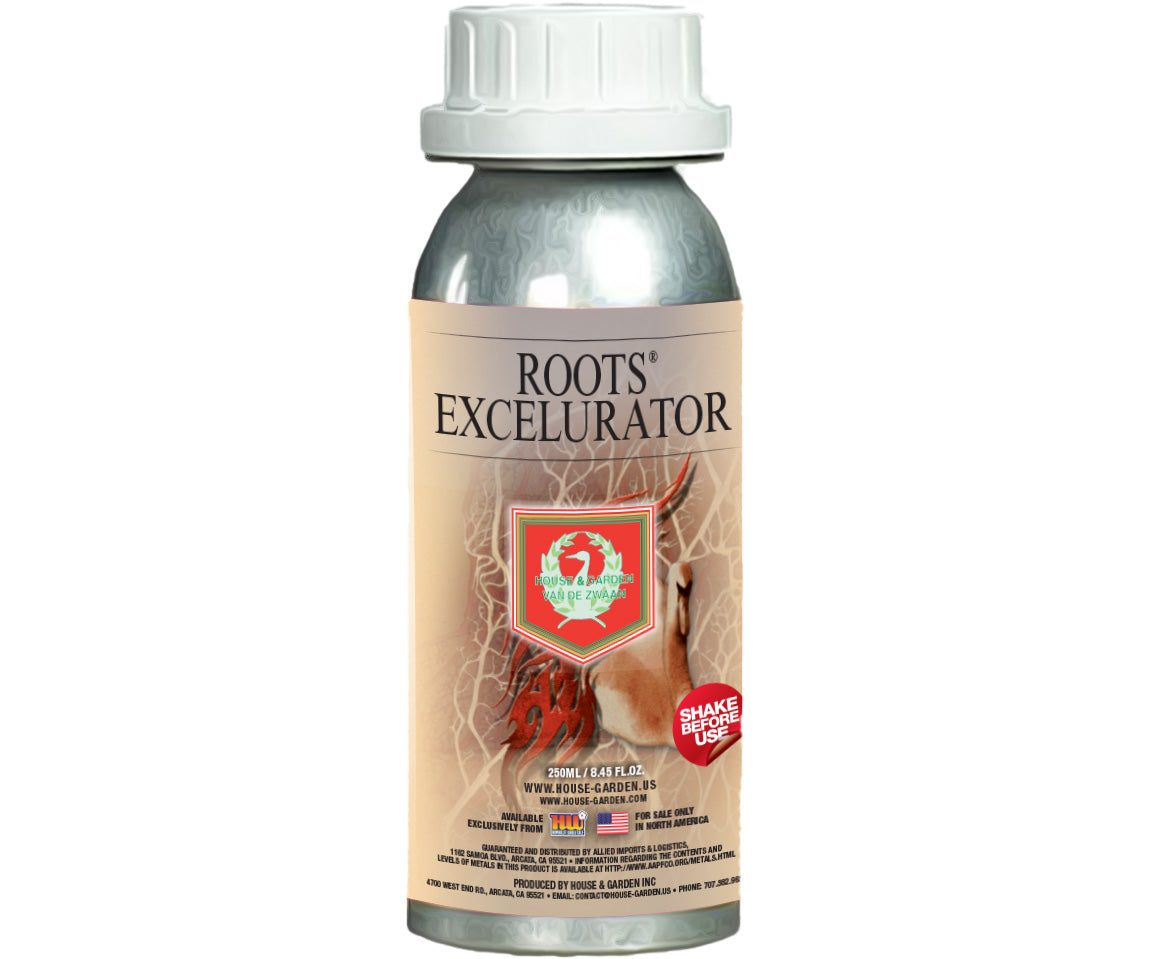 Product Image:House and Garden Silver Roots Excelurator
