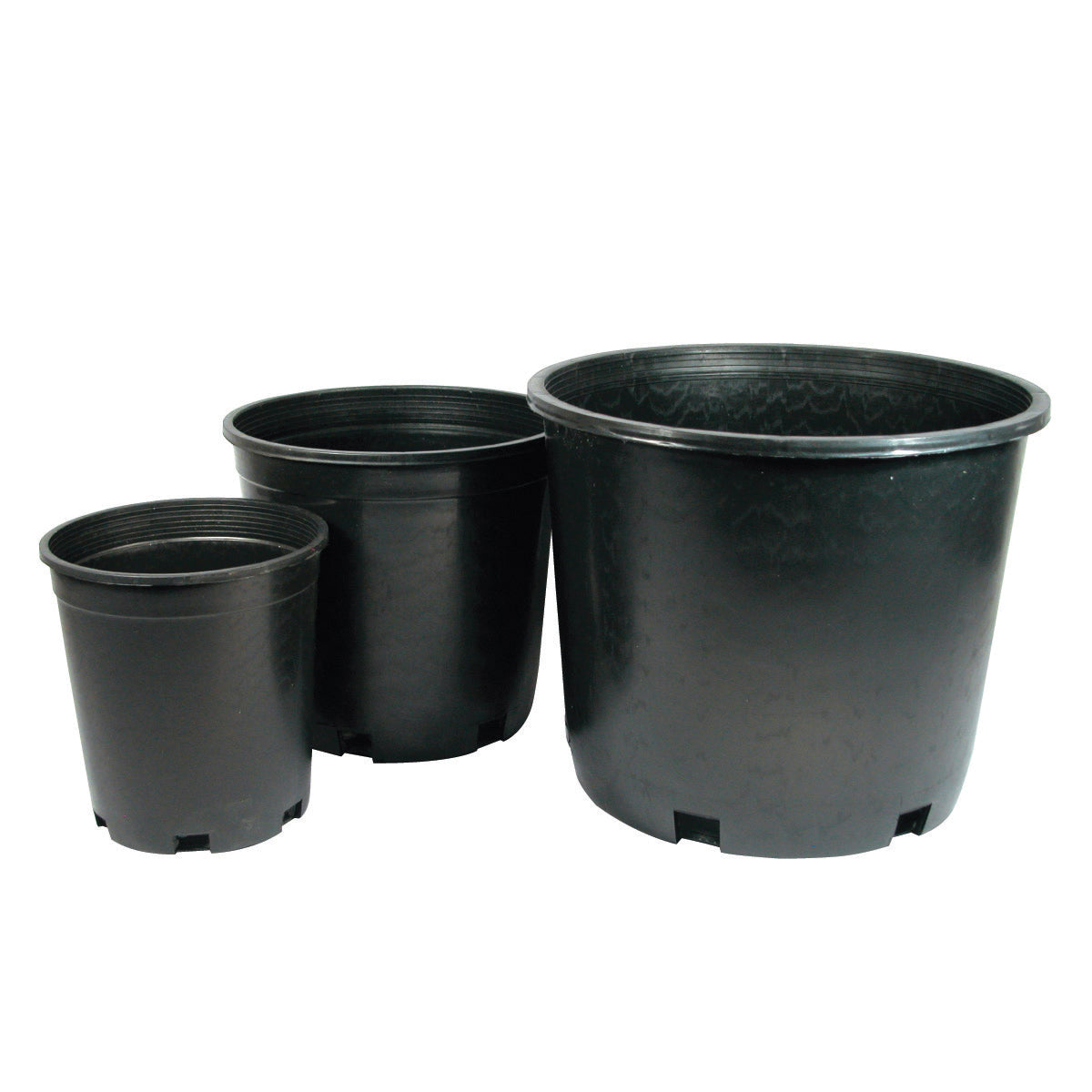 Product Image:Nursery Pot Black