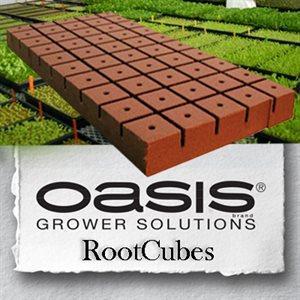 Product Image:Oasis Rootcubes 1.5 in Medium Cubes (5015) 50 / Sheet